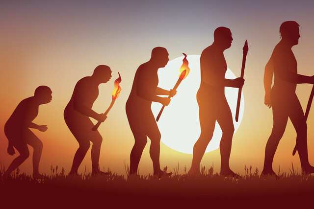 Evolucion de diferentes especies humanas