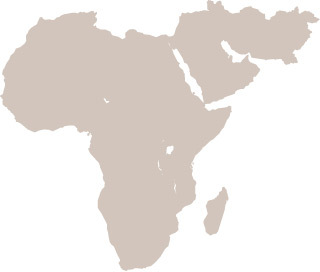 Aparición de homo en África oriental