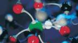 Timeline: Cell Theory Timeline