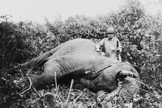 Roosevelt Leaves for Africa