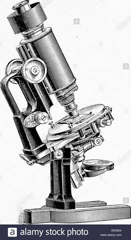 Anatomía Patológica