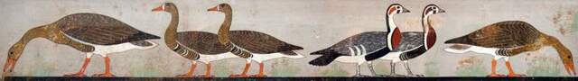 Fregio delle Oche
