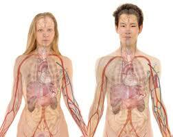 Reforma de enseñanza en la FACMED