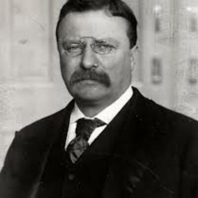 Timeline: Teddy Roosevelt Timeline Project - emmamcdaniel 1/27/21