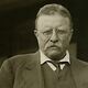 Teddy theodore roosevelt 1553355369