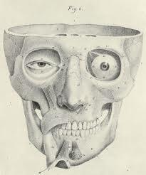 Academia de Supervisión