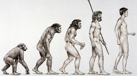 Timeline: EVOLUCIÓN HUMANA