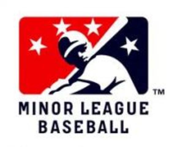 Minor-league professional baseball grew.