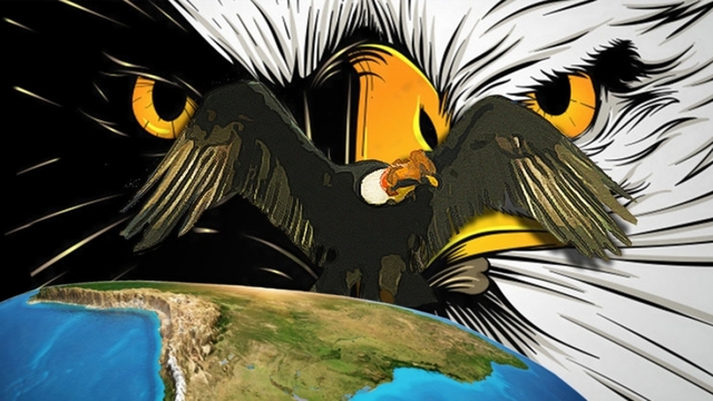 Operación Condor en Sudamérica (1970-1995)