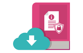 Articulo 6º publicado en el  Diario Oficial de la Federación.