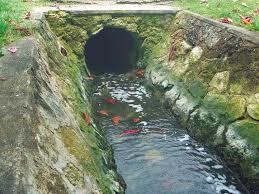 PRIMERAS PLATICAS SOBRE LA ELIMINACIÓN DE LOS RESIDUOS FECALES