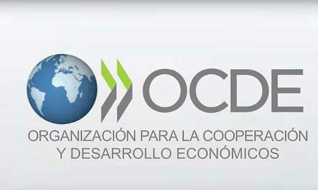 Organización para la Cooperación y el Desarrollo Económico 1980