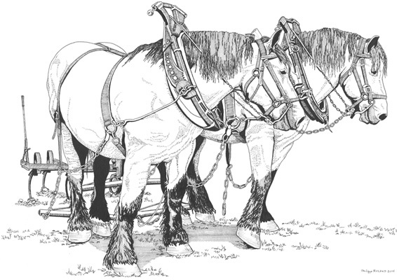 Les habitants de la Nouvelle-France peuvent disposer d'un cheval