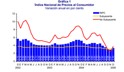 Evolución de la inflación 2005