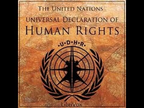 Declaración Universal de Derechos Humanos