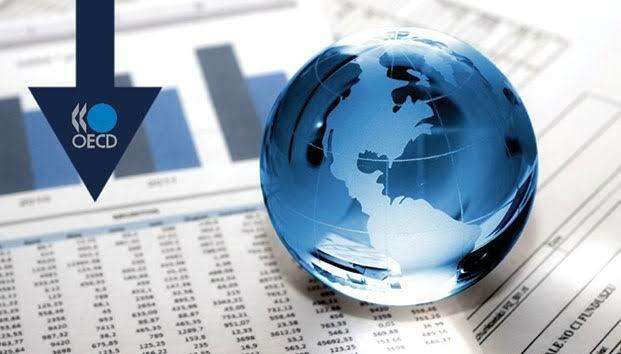 Protección de la Privacidad Internacional