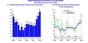 Evolución de la inflación 2008