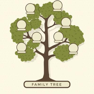 Timeline: Arbol Genealogico