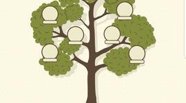 Timeline: Arbol Genealogico