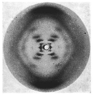Rosalind Franklin & Maurice Wilkins
