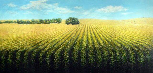 CULTIVACIÓN DEL MAÍZ EN EL VIEJO MUNDO