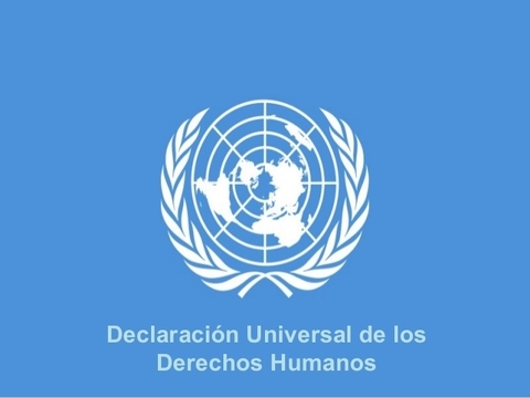 Artículo 12. Declaración Universal de los Derechos Humanos