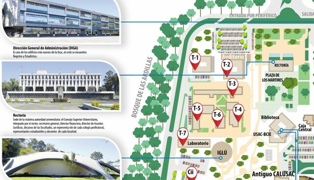 Nueva estructura organizacional