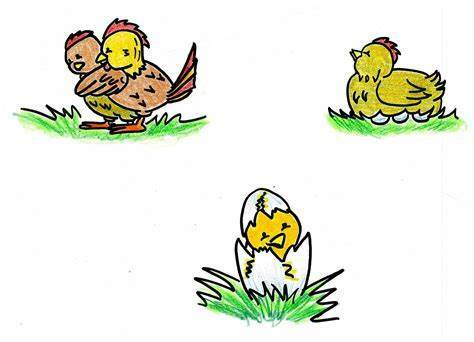 REPRODUCCIÓN SEXUAL