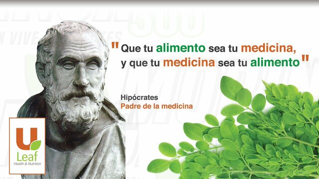 Hipócrates