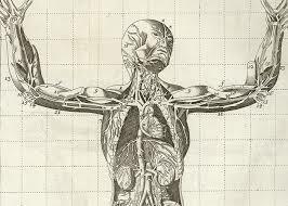 Primer Bachiller de medicina.