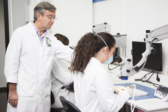 Primer catedrático de medicina.