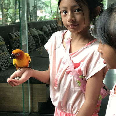 Timeline: Peristiwa Penting dalam 9 Tahun Hidupku