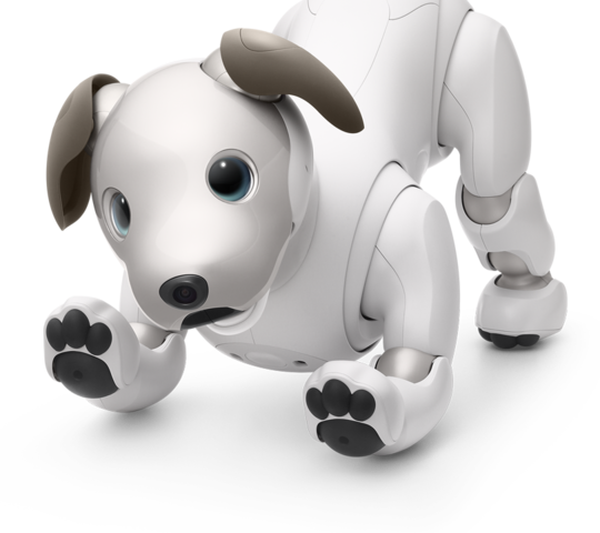 AIBO