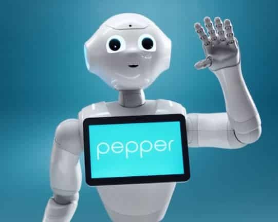 Pepper