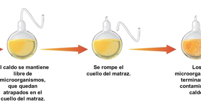Experimento de Pasteur