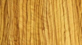 Timeline: Organic Sensual chair