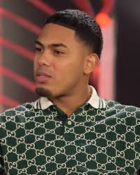 La carrera del artista