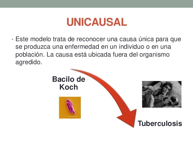 Modelo unicausal