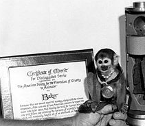 First Animals to Return Alive from Space