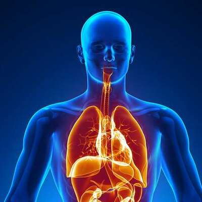 Timeline: The history of health care by Kendra brockman