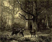 La primera reserva natural