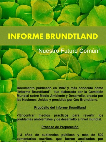 Informe Brundtland.
