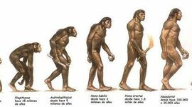 Timeline: EVOLUCIÓN HUMANA