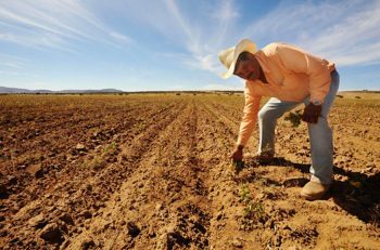 El Servicio de Conservación de Tierras