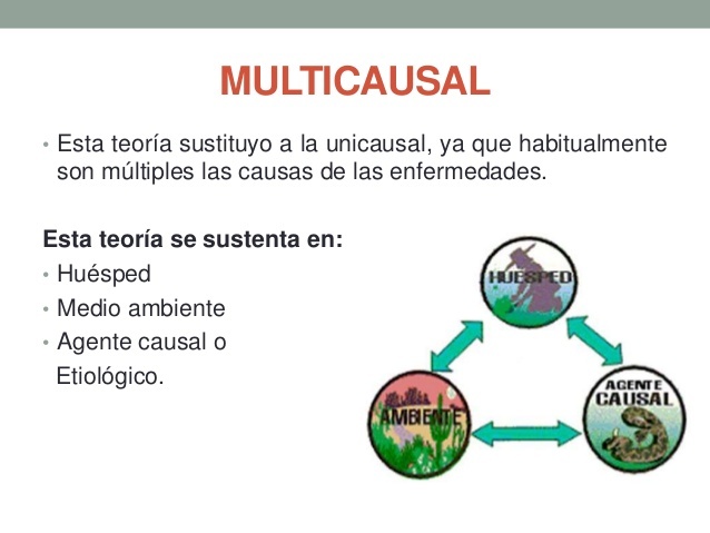Modelo multicausal
