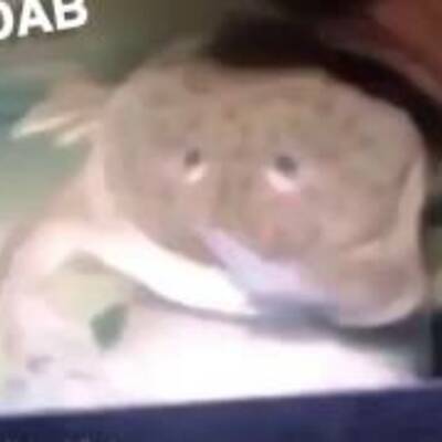 Timeline: Imperialism Timeline