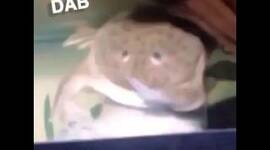 Timeline: Imperialism Timeline