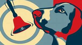 Timeline: CONDUCTISMO