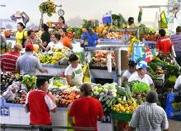 1950 hasta la actualidad