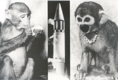 first animals to survive a trip to space